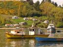 Boats.